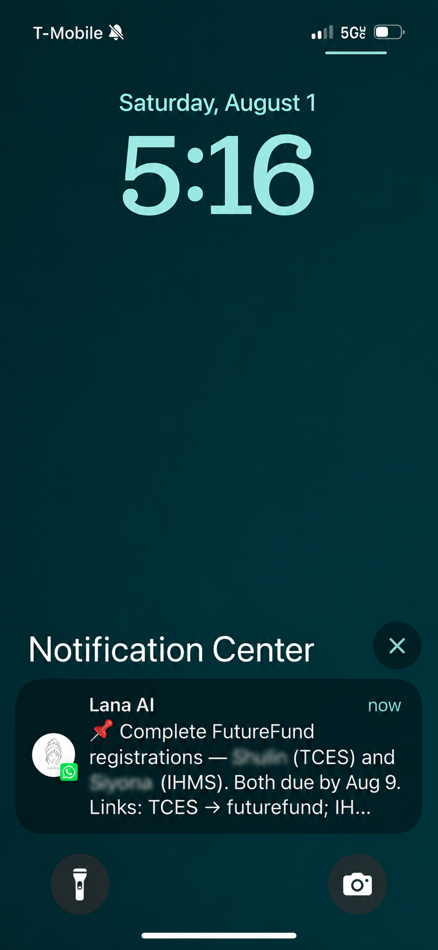 Lana reminder notification with details and links